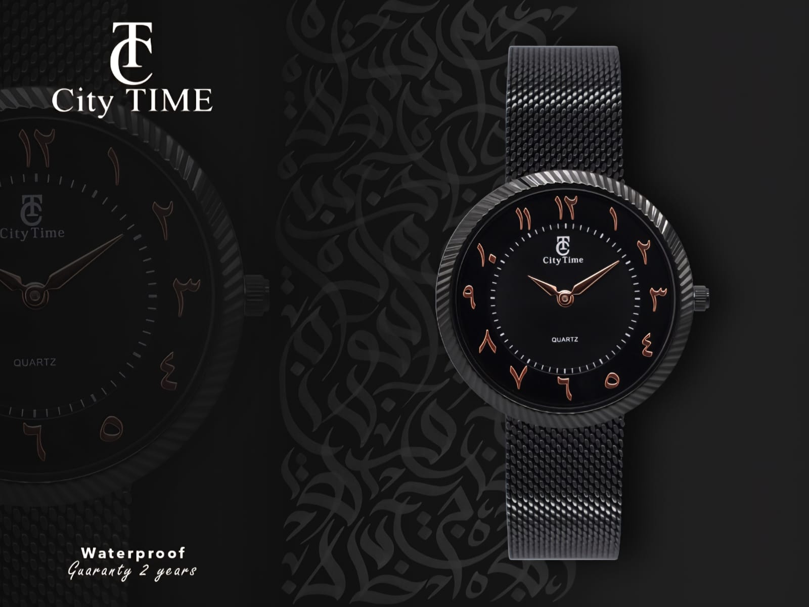CITY TIME WATCH CTL451